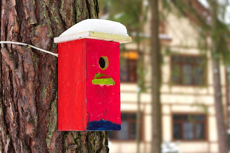 How To Attach A Birdhouse To A Tree Without Damage at Robert Bowlin blog